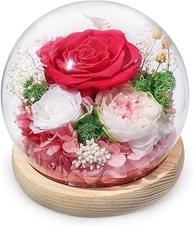 FIACO Preserved Rose Birthday Gift for Women Forever Fresh Flowers for Prime Delivery Gift for Mom Grandma Wife Valentines Mothers Day Christmas Anniversary Eternal Roses in Glass Dome