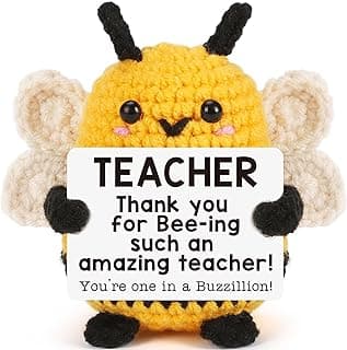 Teacher Gifts, Thank You Teacher Appreciation Gift for Women Men, Teacher's Day End of Year Gifts, Back to School, Emotional Positive Crochet Gift for Educator Mentor Valentines Stocking Stuffers