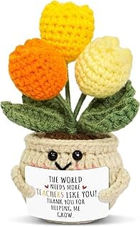 OASSIE Teacher Appreciation Gifts for Women Men - Handmade Positive Tulip Crochet Flowers - Teachers Day Graduation Birthday Thank You Appreciation School Retirement Gifts for Teachers from Student