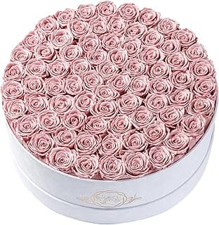 Prifroti 75 Preserved Roses in Suede Box – Luxury Rose Flower Arrangement, Preserved Flowers Gifts for Women, Wife or Mom – Birthday, Anniversary, Valentine’s Day, Mother's Day (Dusty Rose)